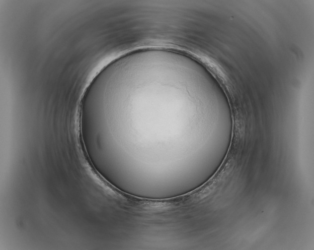 X0000113131382200909181700