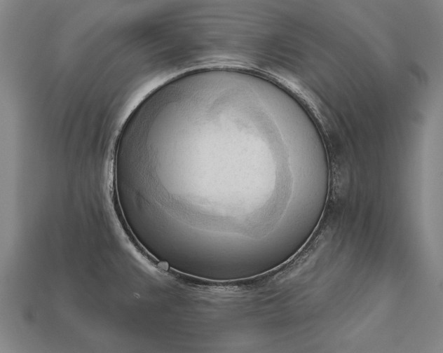 X0000113131383200909181700