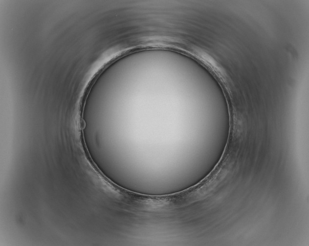 X0000113131384200909181700