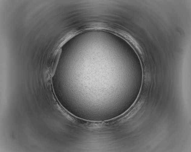 X0000113131385200909181700