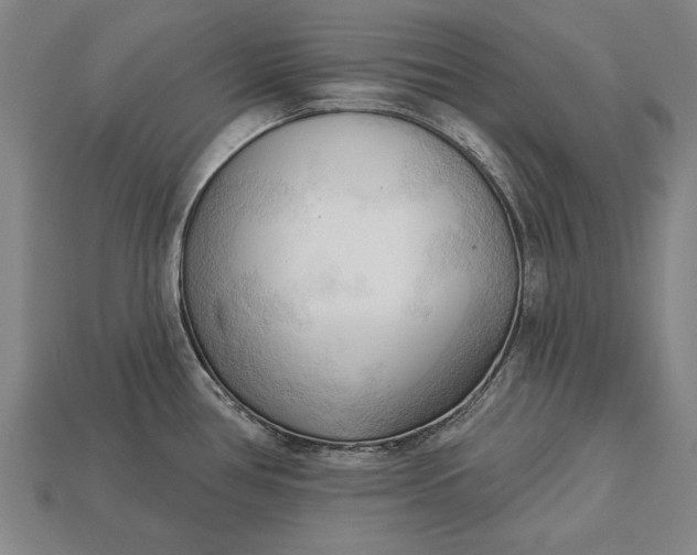 X0000113131386200909181700