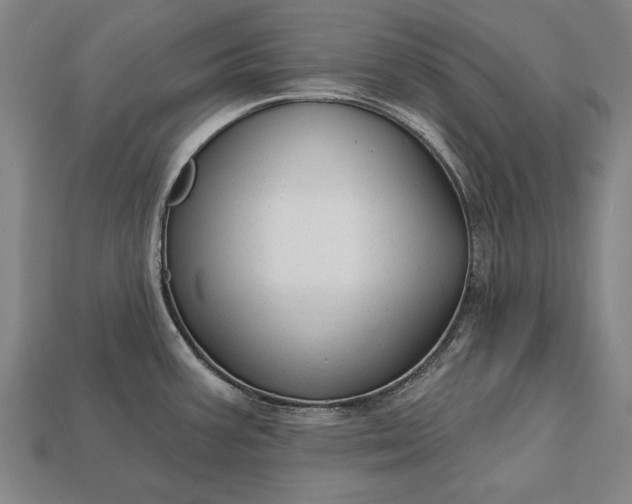 X0000113131387200909181700