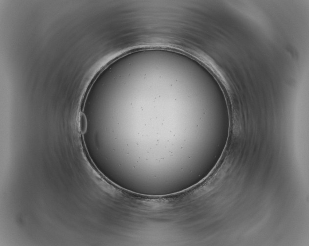 X0000113131388200909181700