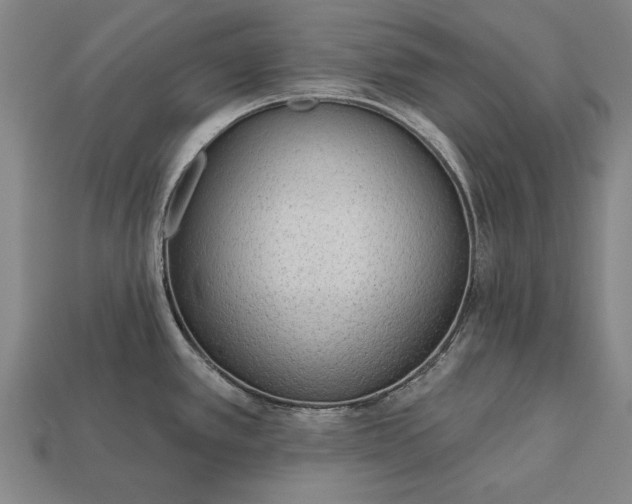 X0000113131389200909181700