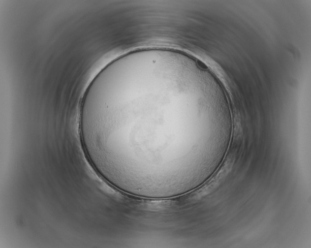 X0000113131390200909181700