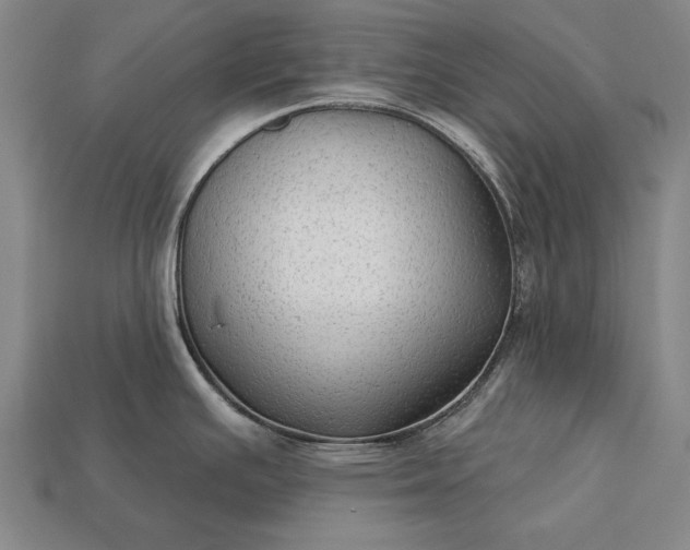 X0000113131391200909181700