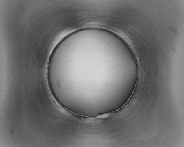 X0000113131392200909181700