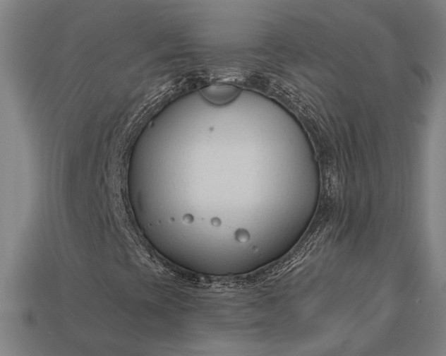 X0000113131393200909181700