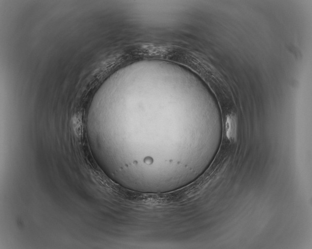 X0000113131395200909181700