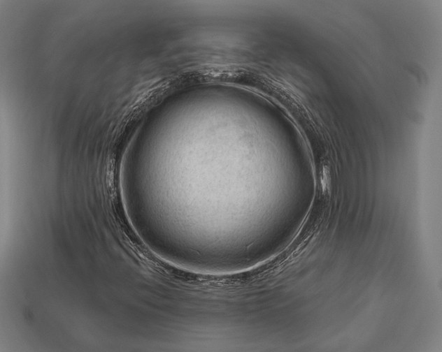 X0000113131396200909181700