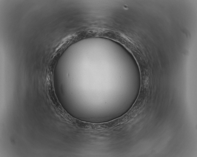 X0000113131397200909181700