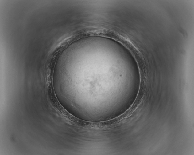 X0000113131399200909181700