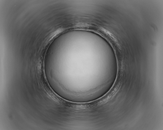 X0000113131401200909181700