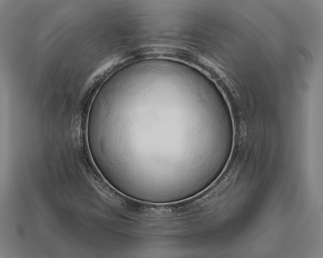 X0000113131403200909181700