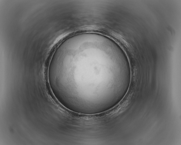 X0000113131404200909181700