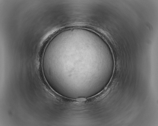 X0000113131406200909181700