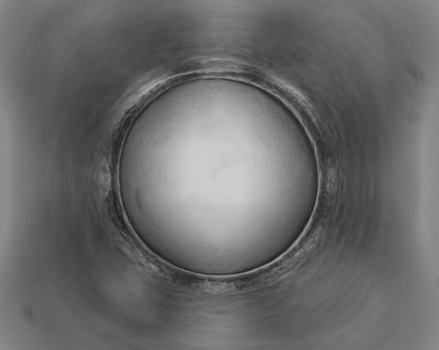 X0000113131407200909181700