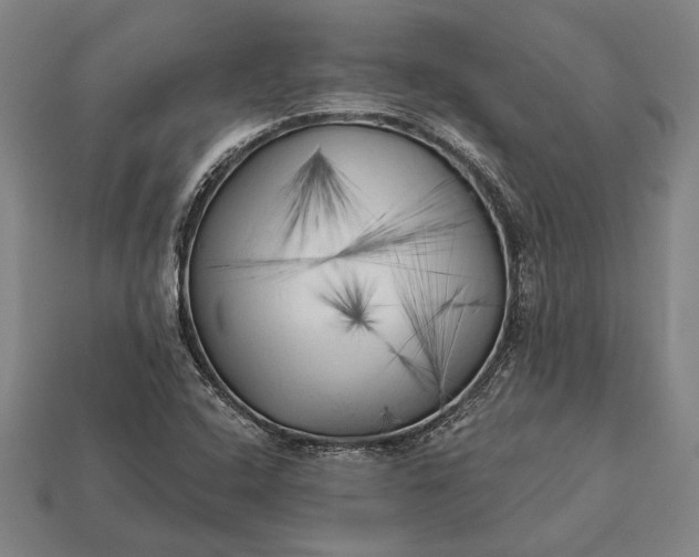 X0000113131408200909181700