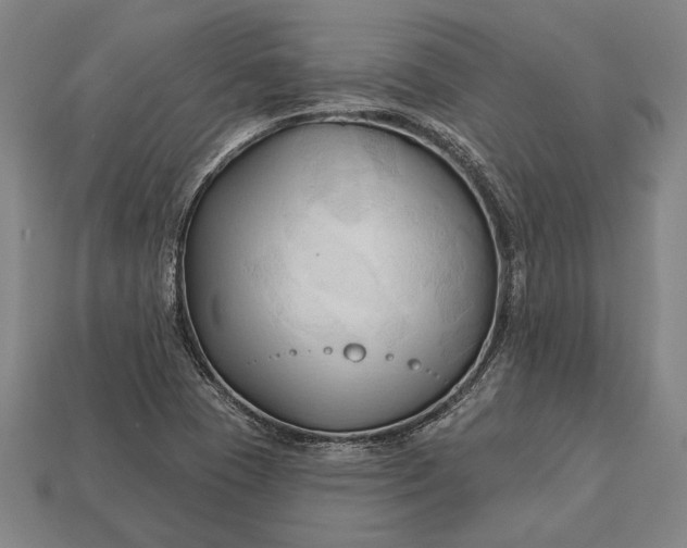 X0000113131409200909181700