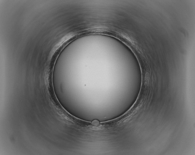 X0000113131410200909181700