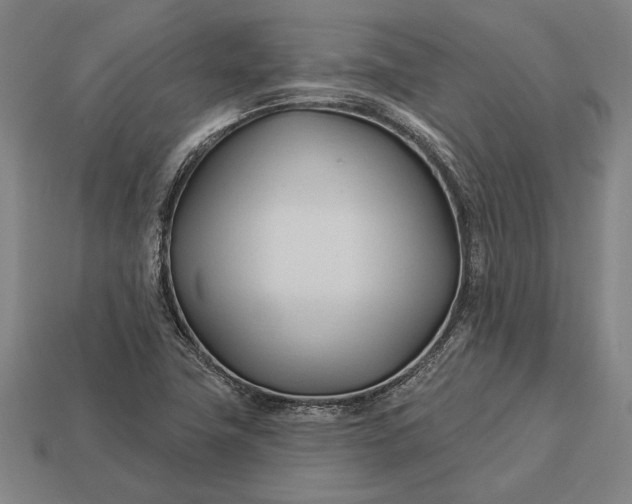 X0000113131411200909181700