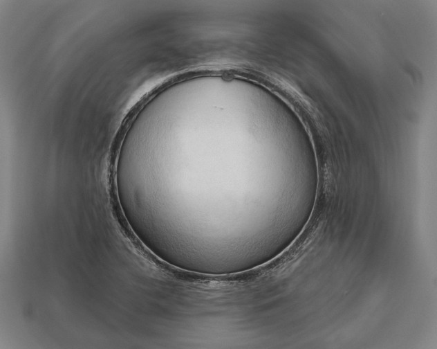 X0000113131412200909181700