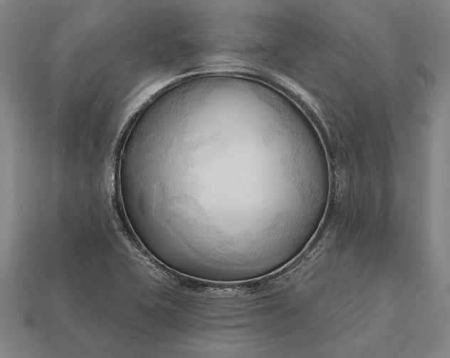 X0000113131415200909181700