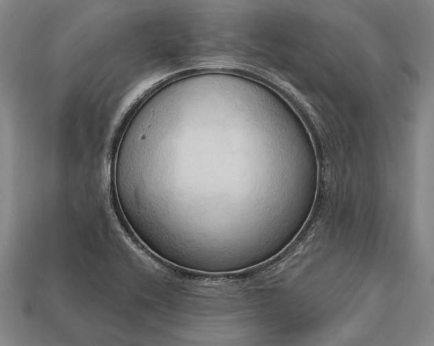 X0000113131416200909181700