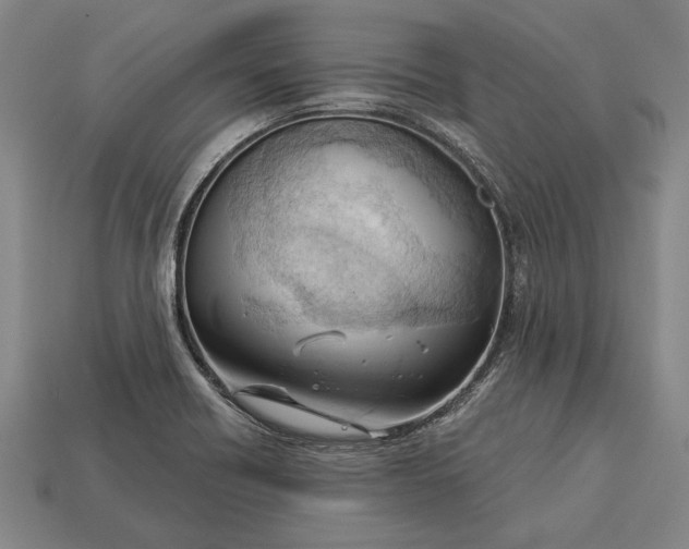 X0000113131418200909181700