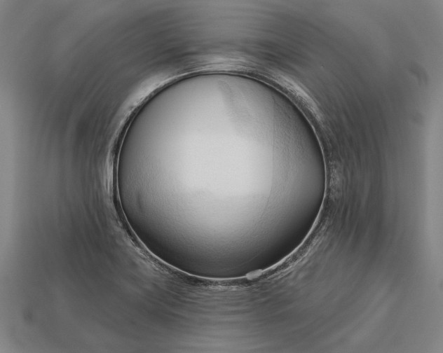 X0000113131419200909181700