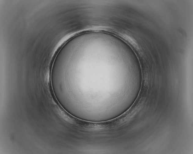 X0000113131420200909181700