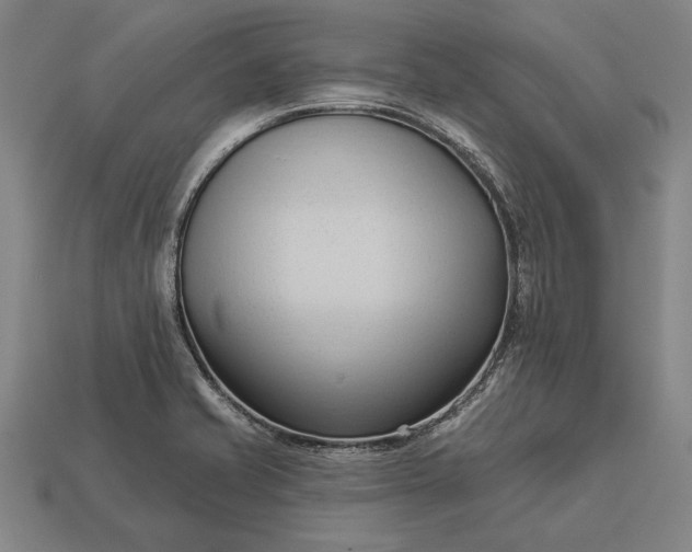 X0000113131421200909181700