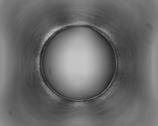 X0000113131422200909181700