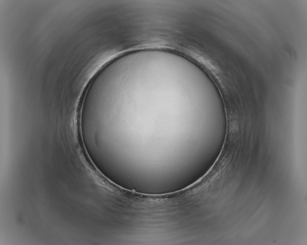 X0000113131423200909181700