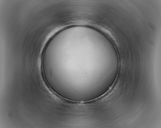 X0000113131424200909181700