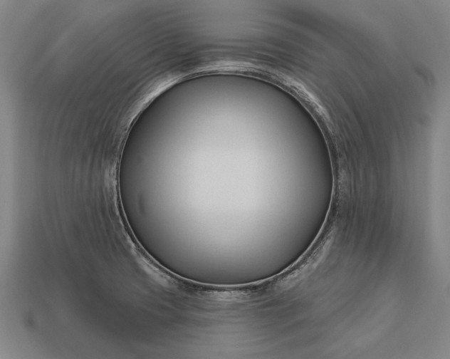 X0000113131425200909181700