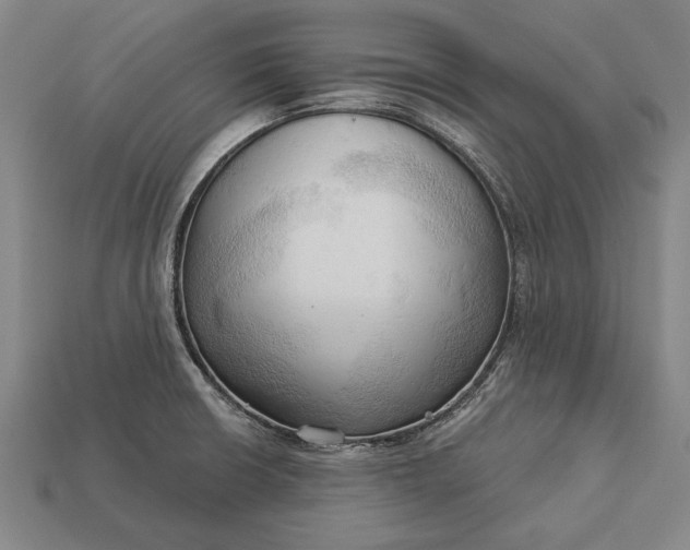 X0000113131426200909181700