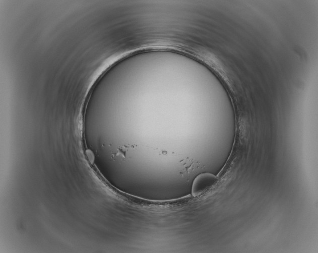 X0000113131428200909181700