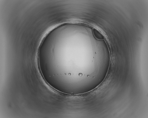 X0000113131429200909181700