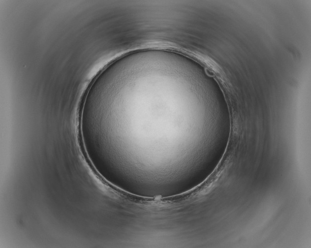 X0000113131430200909181700