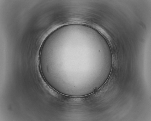 X0000113131431200909181700