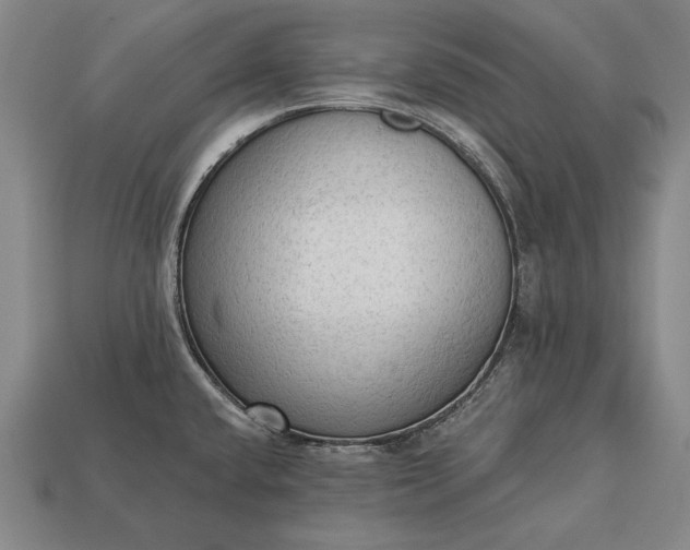 X0000113131432200909181700