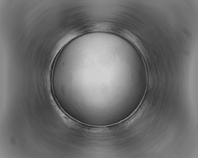 X0000113131434200909181700