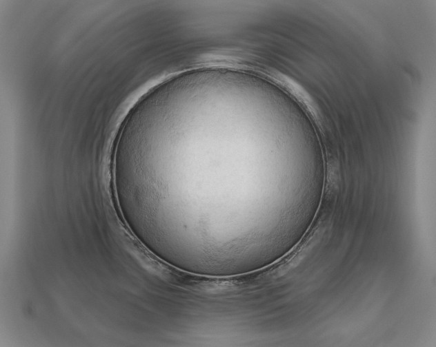 X0000113131435200909181700