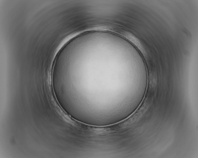 X0000113131436200909181700