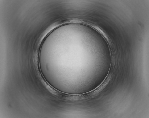 X0000113131438200909181700