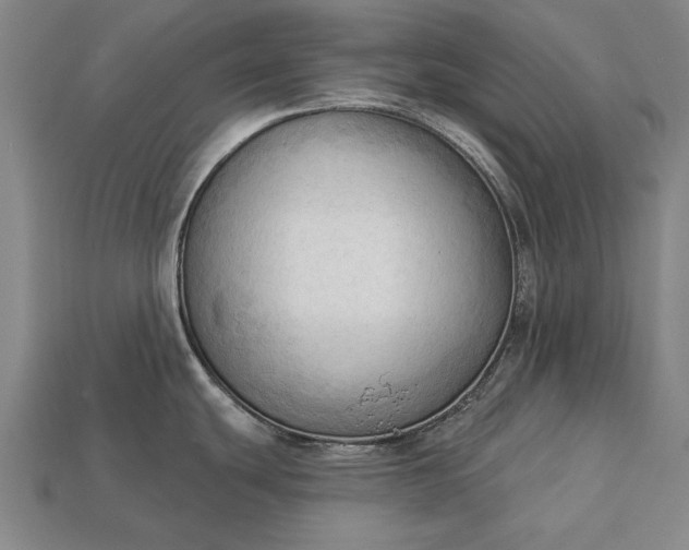 X0000113131439200909181700