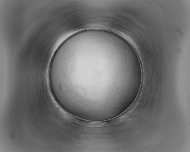 X0000113131440200909181700