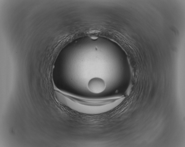 X0000113131441200909181700