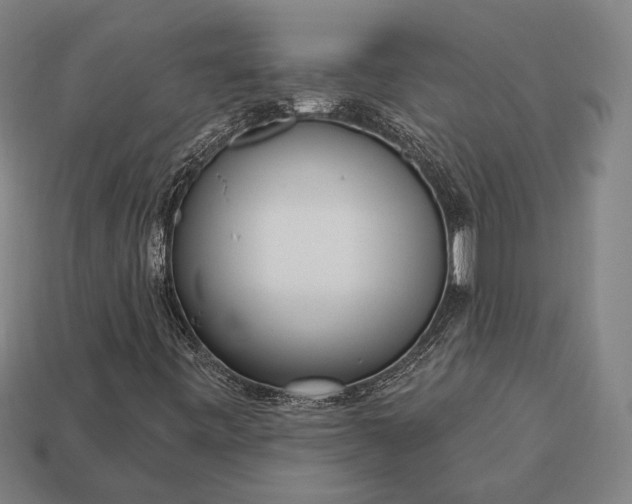 X0000113131443200909181700